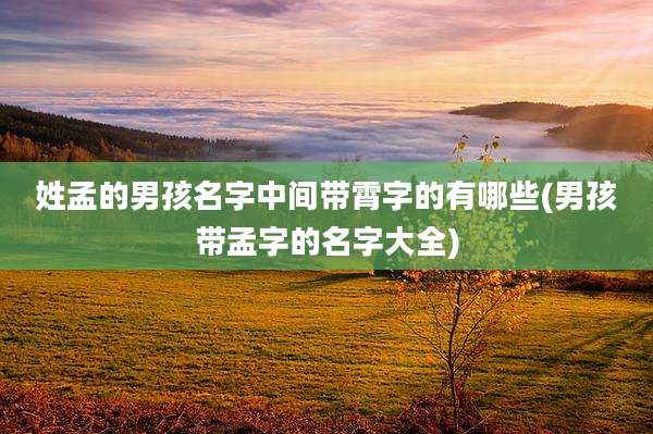 姓孟的男孩名字中间带霄字的有哪些(男孩带孟字的名字大全)