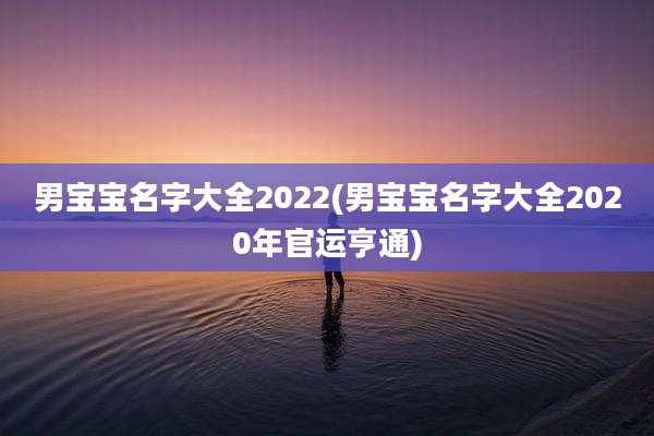 男宝宝名字大全2022(男宝宝名字大全2020年官运亨通)