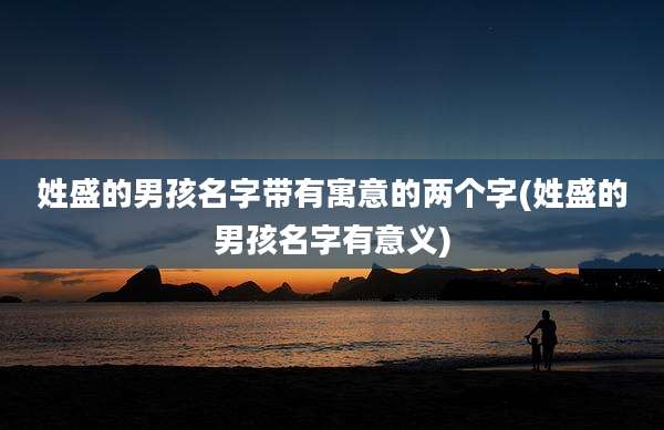 姓盛的男孩名字带有寓意的两个字(姓盛的男孩名字有意义)