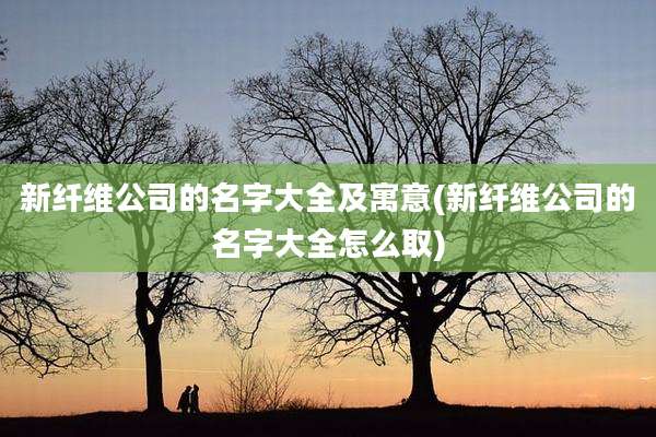 新纤维公司的名字大全及寓意(新纤维公司的名字大全怎么取)