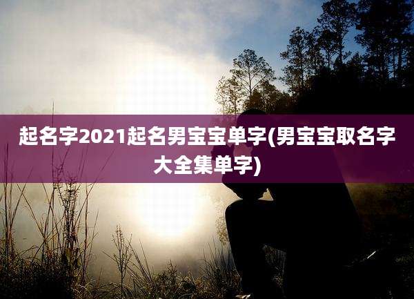 起名字2021起名男宝宝单字(男宝宝取名字大全集单字)