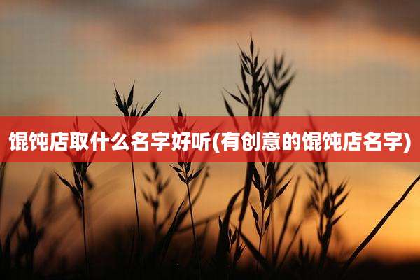 馄饨店取什么名字好听(有创意的馄饨店名字)