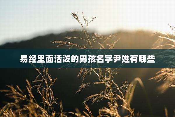 易经里面活泼的男孩名字尹姓有哪些