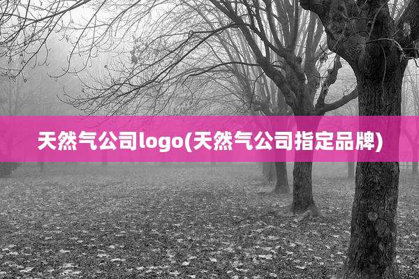 天然气公司logo(天然气公司指定品牌)
