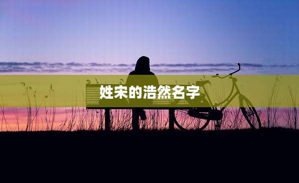 姓宋的浩然名字