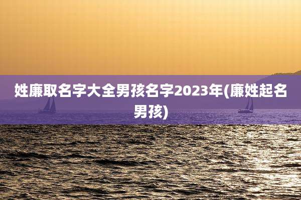 姓廉取名字大全男孩名字2023年(廉姓起名男孩)
