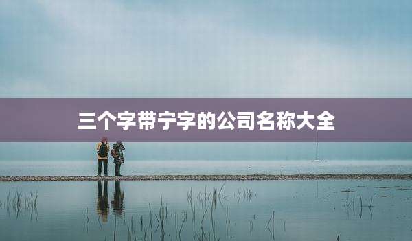 三个字带宁字的公司名称大全