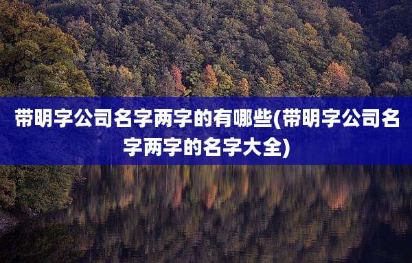 带明字公司名字两字的有哪些(带明字公司名字两字的名字大全)