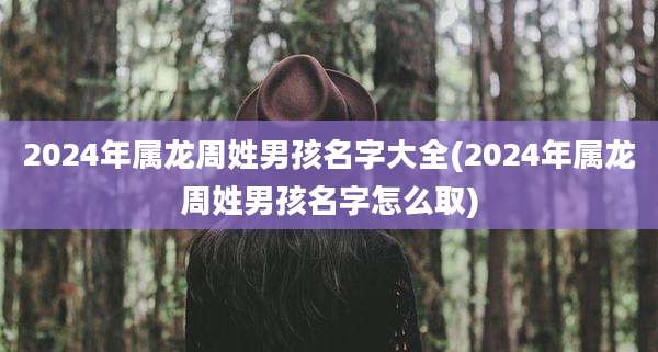 2024年属龙周姓男孩名字大全(2024年属龙周姓男孩名字怎么取)
