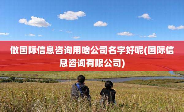 做国际信息咨询用啥公司名字好呢(国际信息咨询有限公司)