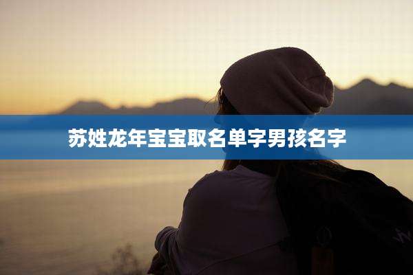 苏姓龙年宝宝取名单字男孩名字
