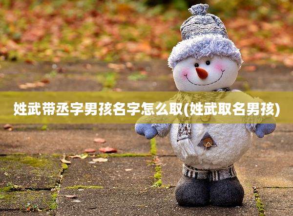 姓武带丞字男孩名字怎么取(姓武取名男孩)