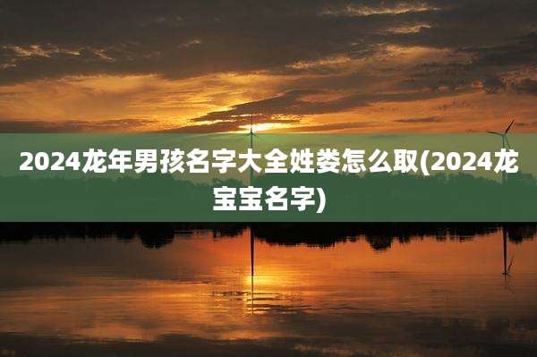 2024龙年男孩名字大全姓娄怎么取(2024龙宝宝名字)