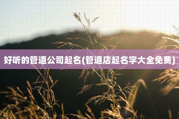 好听的管道公司起名(管道店起名字大全免费)
