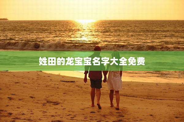 姓田的龙宝宝名字大全免费
