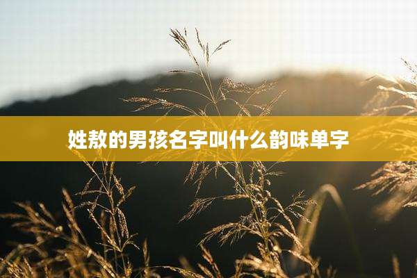 姓敖的男孩名字叫什么韵味单字