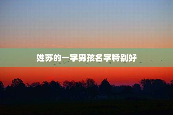 姓苏的一字男孩名字特别好