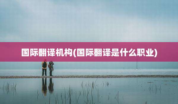 国际翻译机构(国际翻译是什么职业)