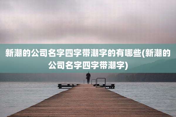 新潮的公司名字四字带潮字的有哪些(新潮的公司名字四字带潮字)