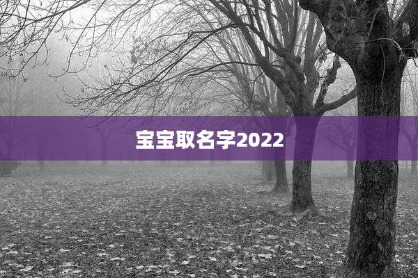 宝宝取名字2022