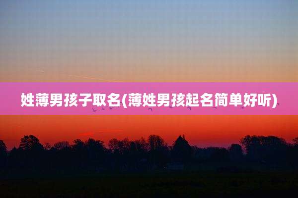 姓薄男孩子取名(薄姓男孩起名简单好听)