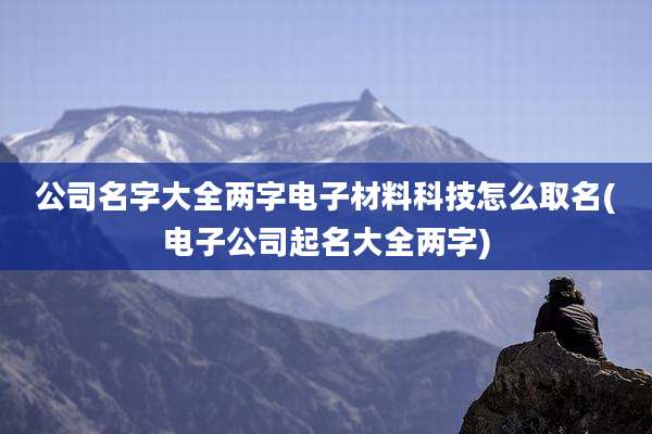 公司名字大全两字电子材料科技怎么取名(电子公司起名大全两字)