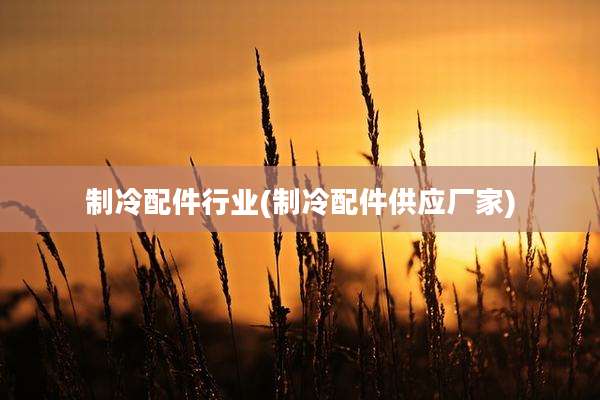 制冷配件行业(制冷配件供应厂家)