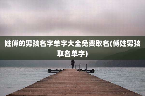 姓傅的男孩名字单字大全免费取名(傅姓男孩取名单字)
