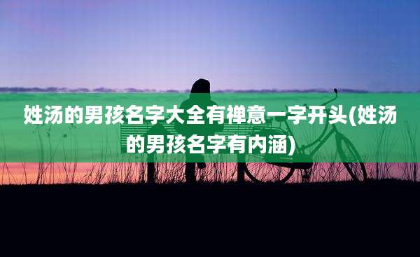 姓汤的男孩名字大全有禅意一字开头(姓汤的男孩名字有内涵)