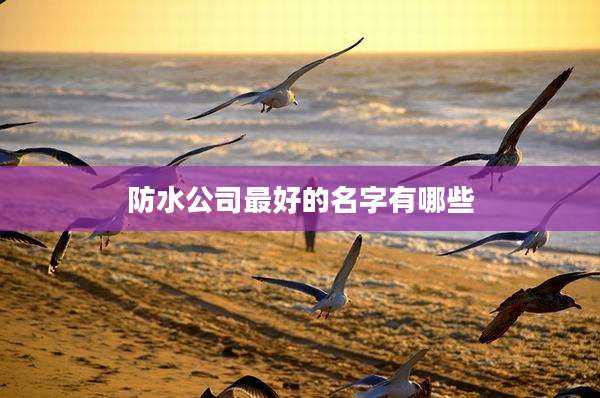防水公司最好的名字有哪些
