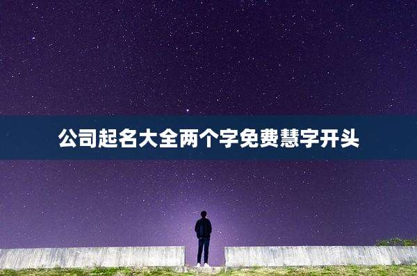 公司起名大全两个字免费慧字开头