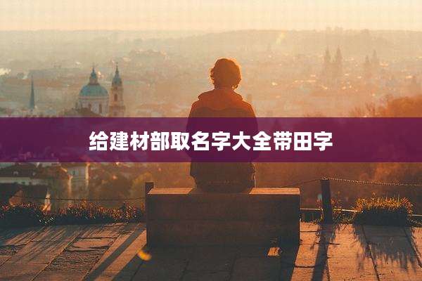 给建材部取名字大全带田字
