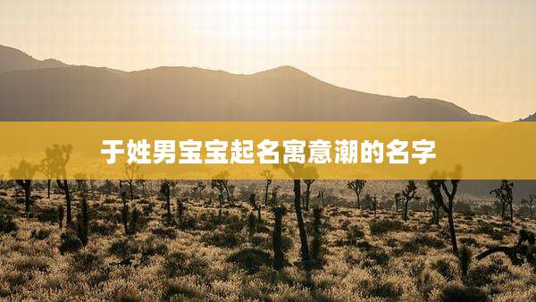 于姓男宝宝起名寓意潮的名字