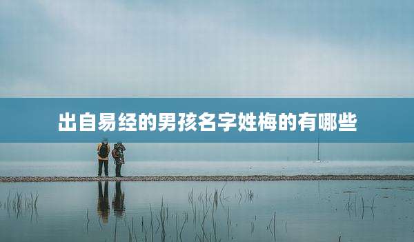 出自易经的男孩名字姓梅的有哪些