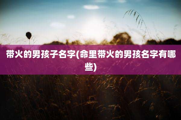 带火的男孩子名字(命里带火的男孩名字有哪些)