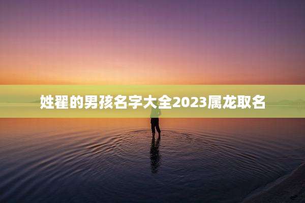 姓翟的男孩名字大全2023属龙取名