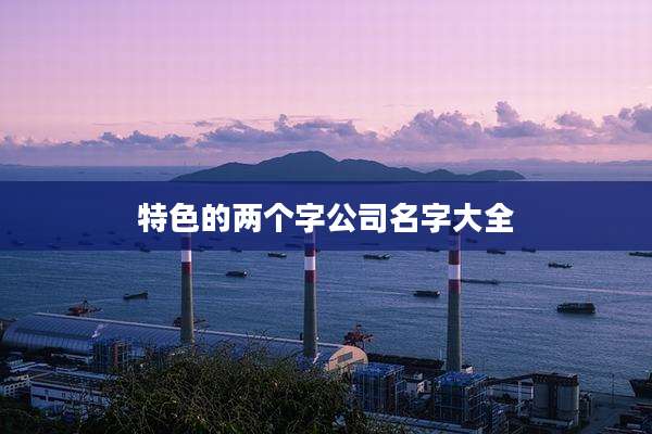 特色的两个字公司名字大全