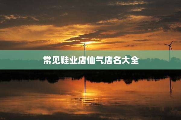 常见鞋业店仙气店名大全