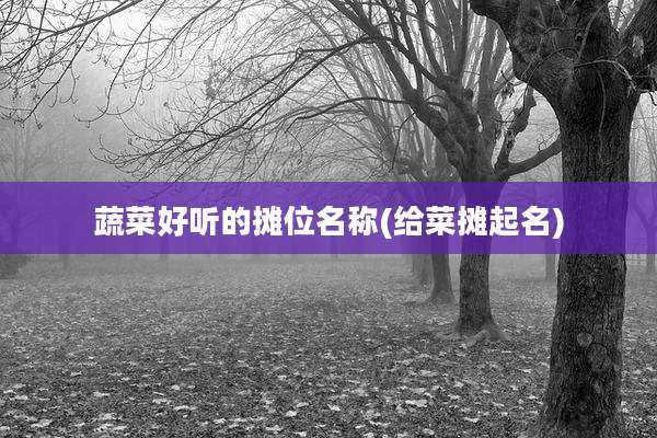 蔬菜好听的摊位名称(给菜摊起名)