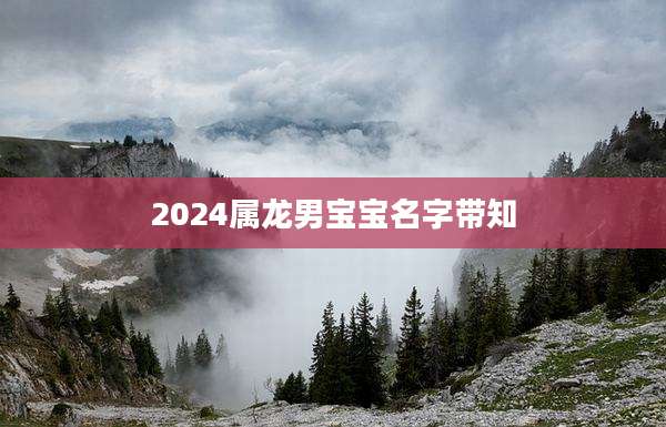 2024属龙男宝宝名字带知