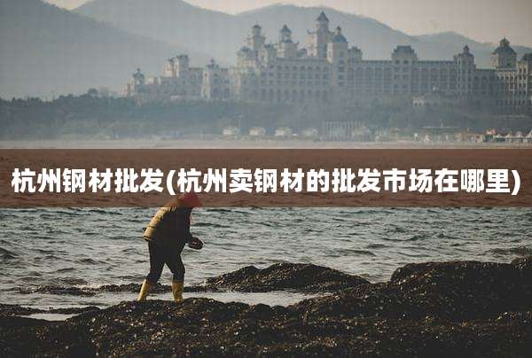 杭州钢材批发(杭州卖钢材的批发市场在哪里)