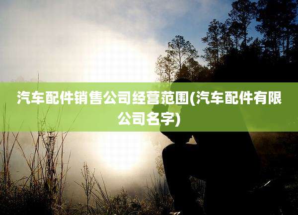 汽车配件销售公司经营范围(汽车配件有限公司名字)