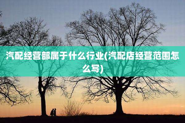 汽配经营部属于什么行业(汽配店经营范围怎么写)