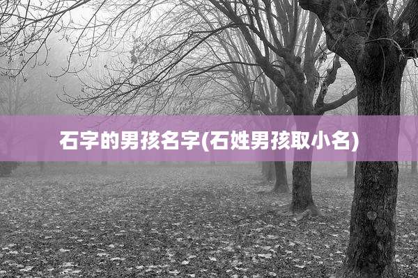 石字的男孩名字(石姓男孩取小名)