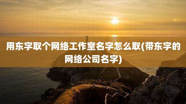 用东字取个网络工作室名字怎么取(带东字的网络公司名字)