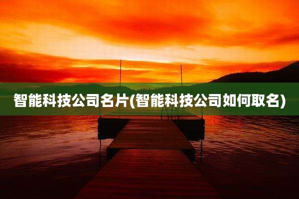 智能科技公司名片(智能科技公司如何取名)