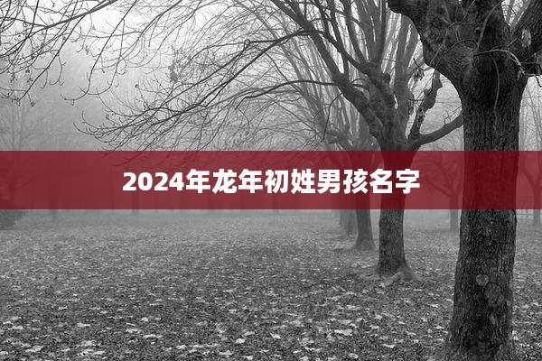 2024年龙年初姓男孩名字