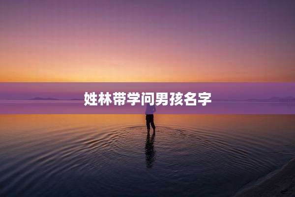 姓林带学问男孩名字