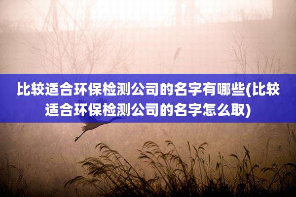 比较适合环保检测公司的名字有哪些(比较适合环保检测公司的名字怎么取)