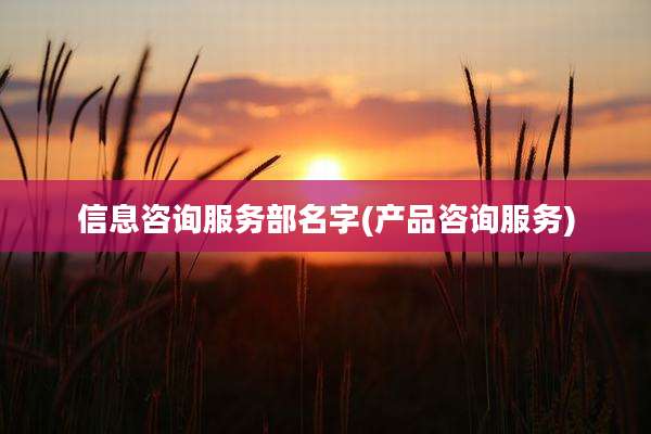 信息咨询服务部名字(产品咨询服务)